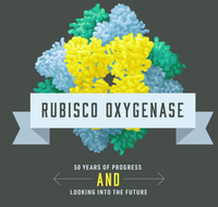 IGB Symposium - Rubisco Oxygenase: 50 Years of Progress and Looking into the Future