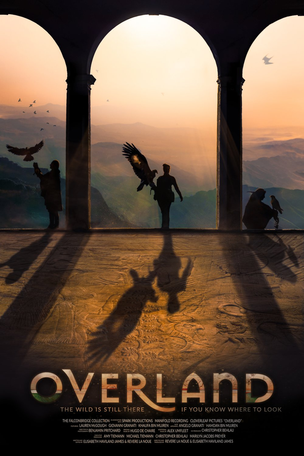 Film poster for documentary film Overland (2020)