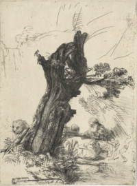 Rembrandt etching showing an old man writing underneath an old willow tree and next to the tree there can be seen a lion.