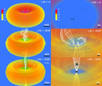 “3D Visualization of Binary Black Hole Merger” by Mit Kotak