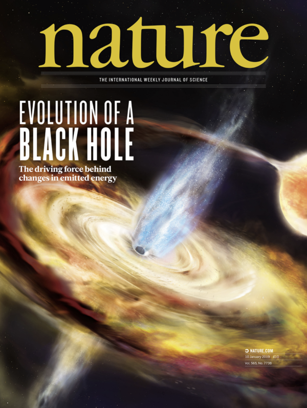 Astronomy Colloquium - Reverberation mapping black hole accretion flows